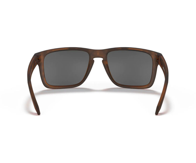 oakley-sunglasses-holbrook-xl-prizm-black-back-view