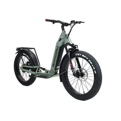 Bakcou-Grizzly-Electric-Scooter-Sage-Green-Ready-WEB